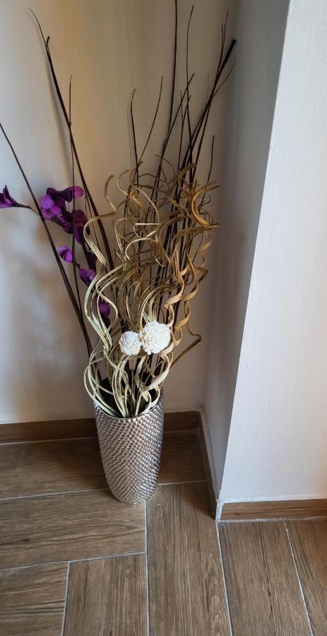 Rijeka Apartment With Free Parking And Large Balcony Luaran gambar